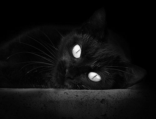 中国女篮强化落位速度提升整体节奏,中国女篮晋级形势