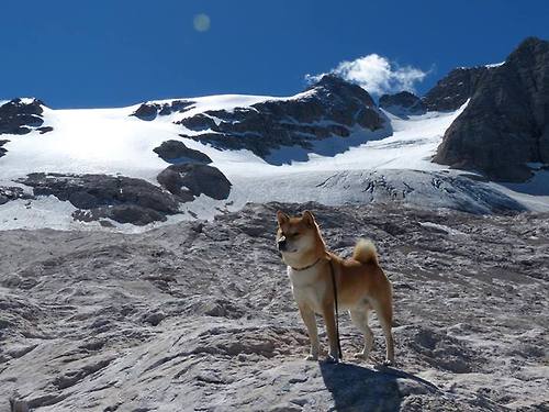 爱游戏体育app-国际赛制改动增强了乒乓赛事的多样性，国际乒乓球比赛由国际乒乓球联合会主办