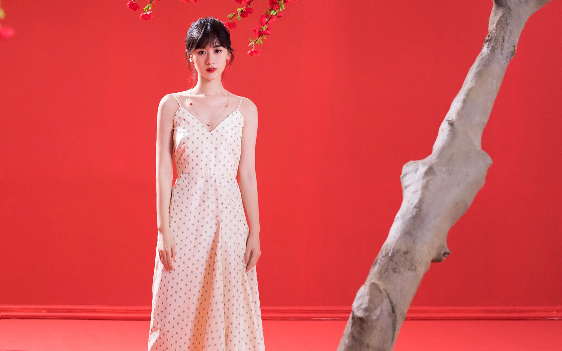 辽宁飞豹执行战术纪律严明减少无谓失误，辽宁飞豹吧 百度贴吧