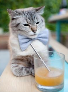 “马科斯·梅特罗的进攻与防守结合,为阿根廷美洲狮队开辟新局面”