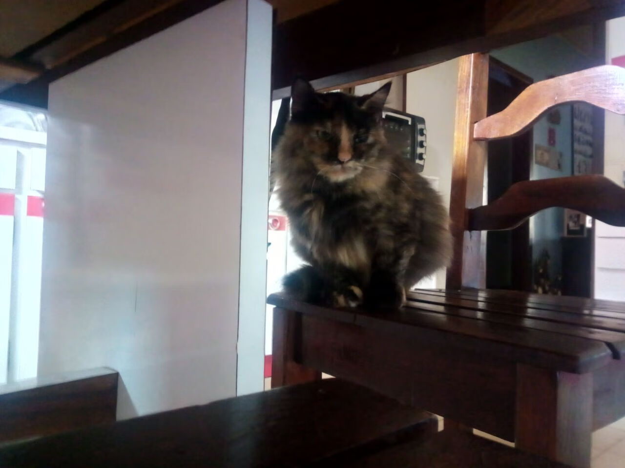 爱游戏体育官网-中国足球联赛数据分析应用深度拓展，中国足球联赛数据分析应用深度拓展策略