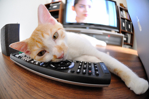 中国足球联赛数据分析应用深度拓展,中国足球联赛数据分析应用深度拓展策略