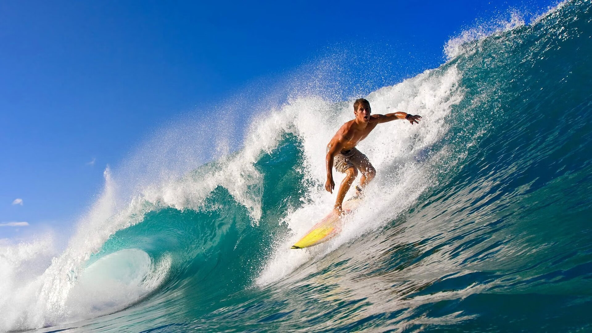 爱游戏体育在线-观众参与热情高涨线上投票活动创下新纪录，线上投票活动注意事项