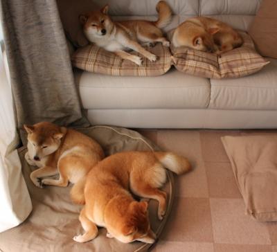 青训机制鼓励校际交流赛打通多区域竞赛资源,青训项目